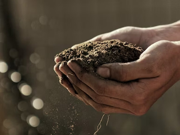 Facility Maintenance