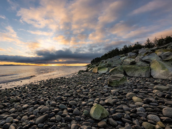 Facility Maintenance